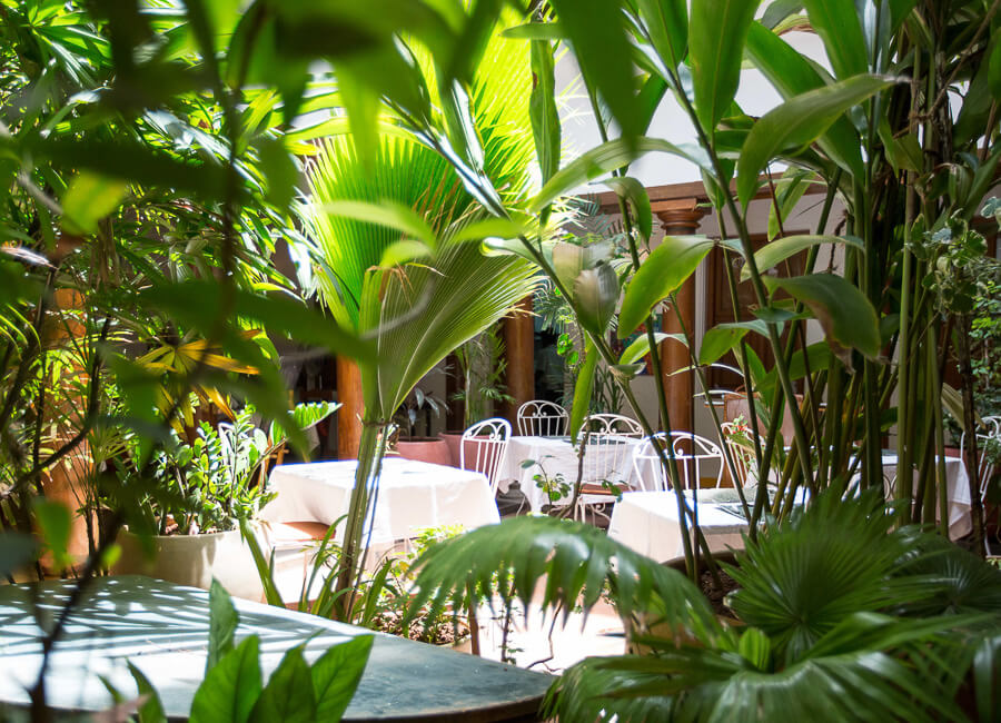 Maison Perumal Pondicherry India (Restaurant) 1