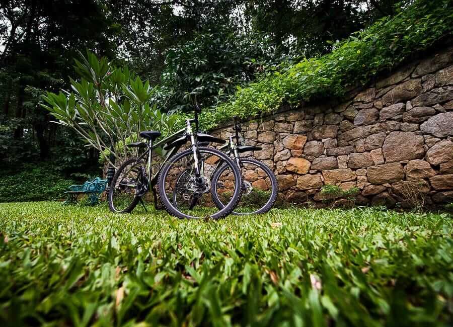 Pepper Trail in Wayanad, Kerala India (Cycling at Pepper Trail)