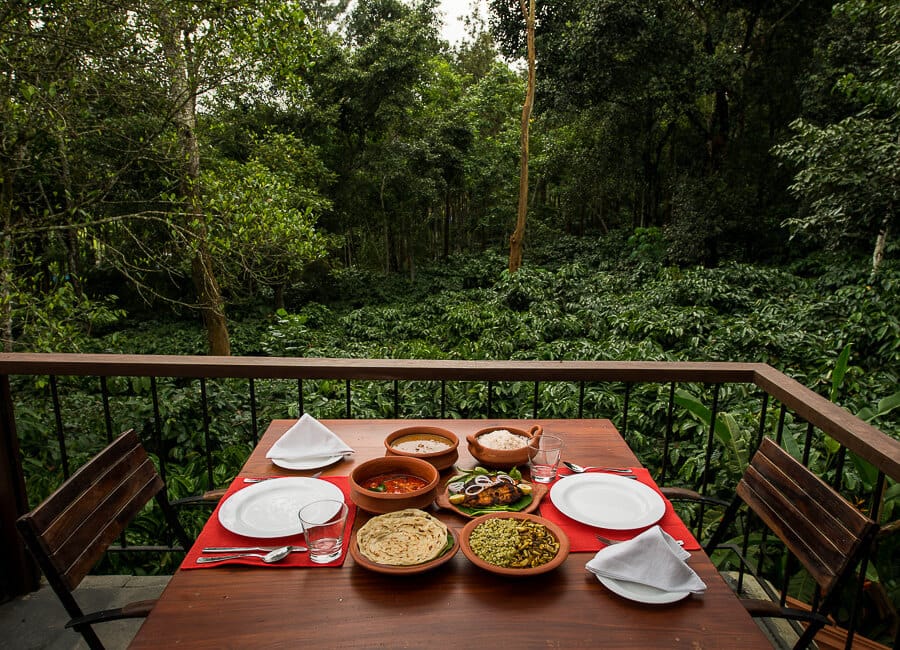 Pepper Trail in Wayanad, Kerala India (Deck by the Restaurant)