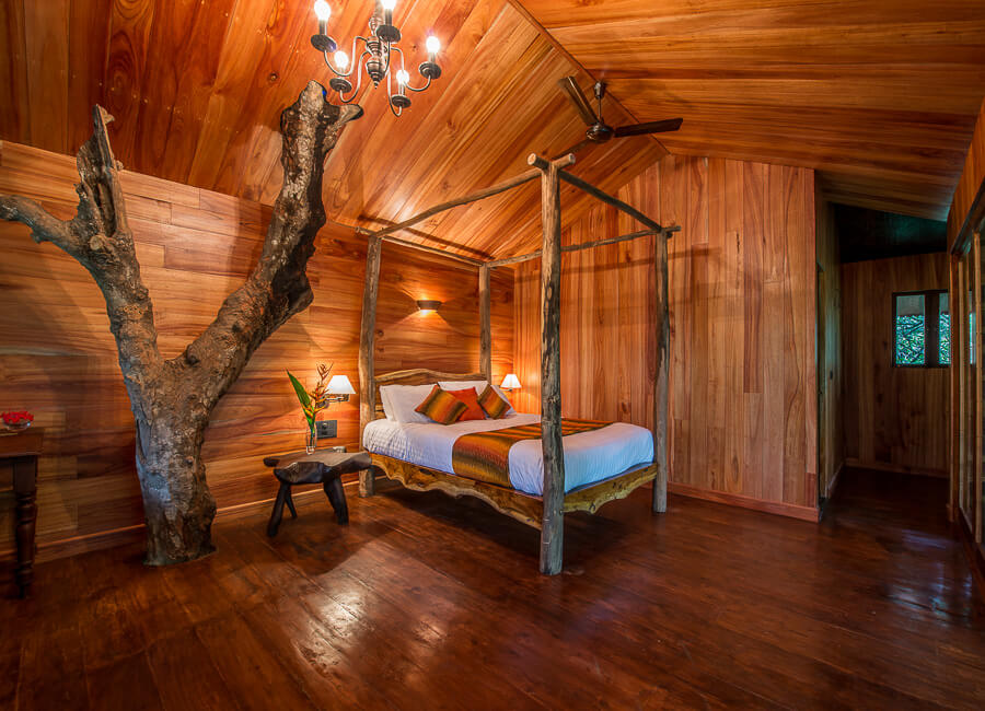 Pepper Trail in Wayanad, Kerala India (Woodpecker Tree House Interior)