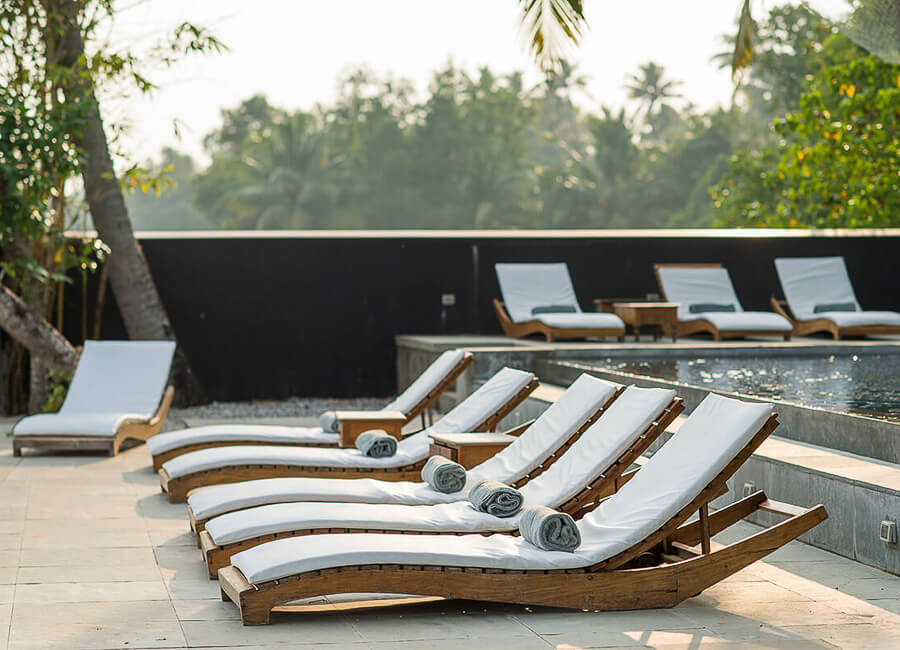 Purity at Lake Vembanad Kerala India (Relax by the Pool)