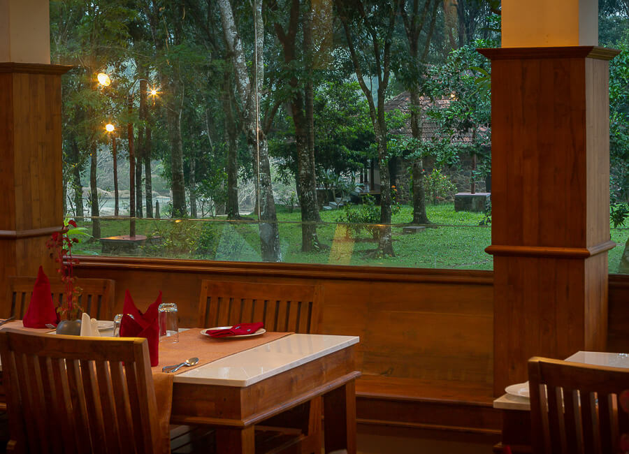 Quiet by the River Malayattor Reserve Forest India (Restaurant)
