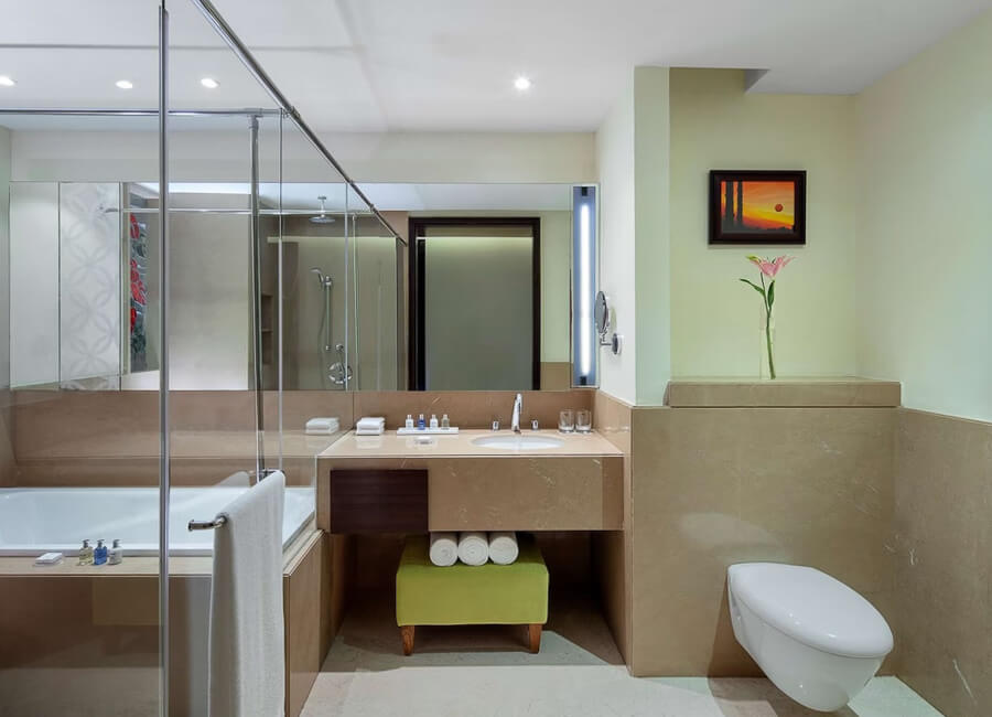 Radisson Blu Plaza Hotel Mysore India (Deluxe Room Bathroom)