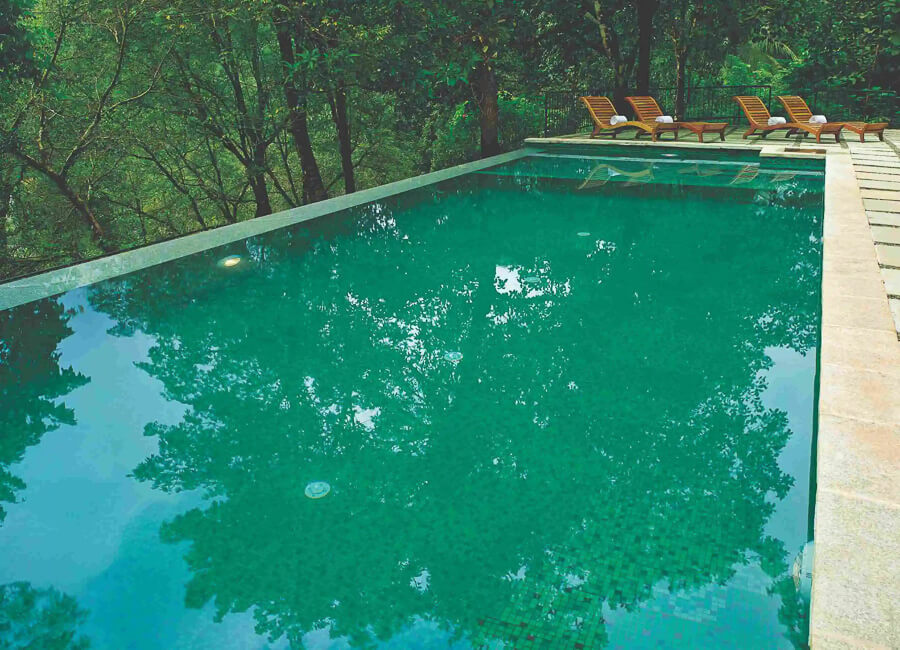 Rainforest Athirapally Falls Kerala India (Swimming Pool)