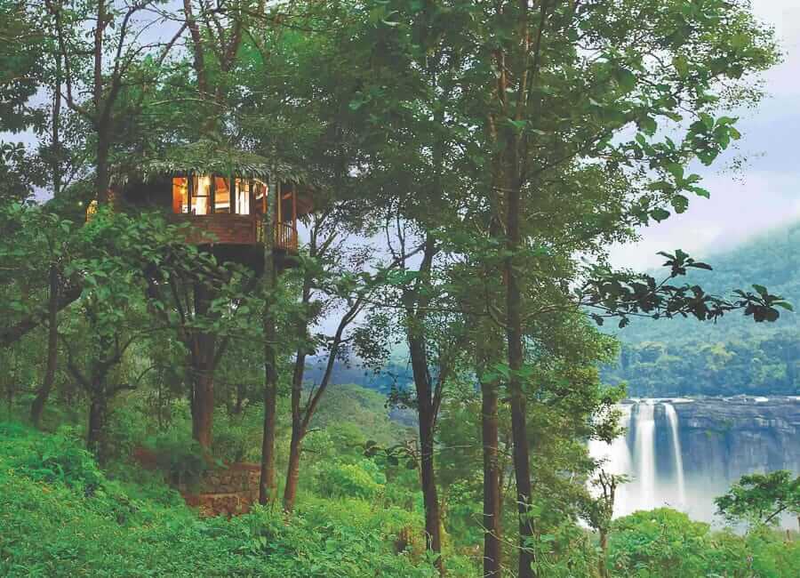 Rainforest Athirapally Falls Kerala India (Tree House) 2