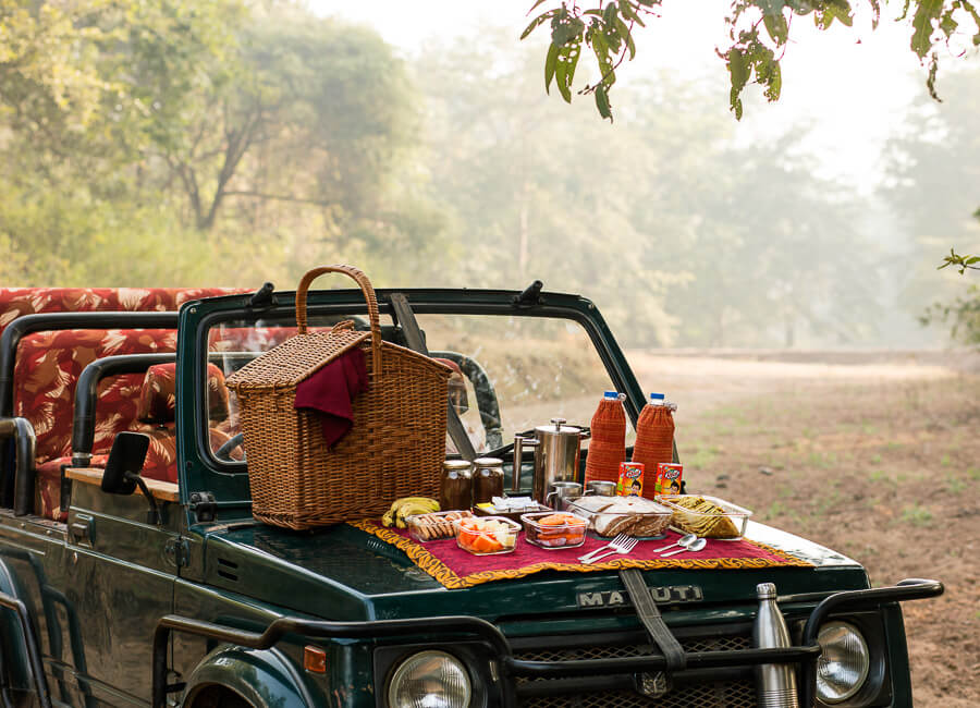 Reni Pani Jungle Lodge near Satpura National Park India (picnic) 20
