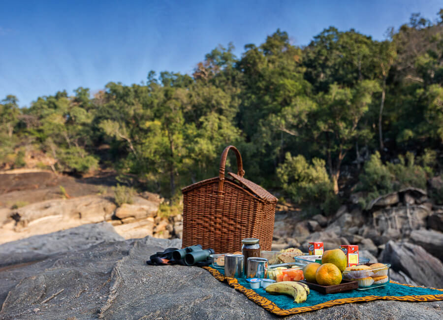 Reni Pani Jungle Lodge near Satpura National Park India (picnic) 22