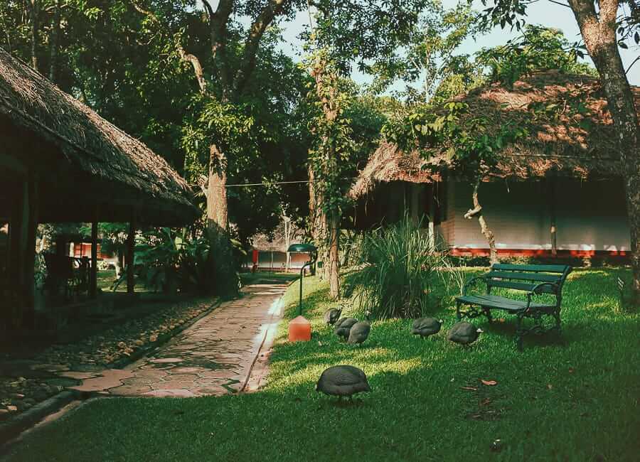 Spice Village Thekkady India (Cottages and gardens) 1