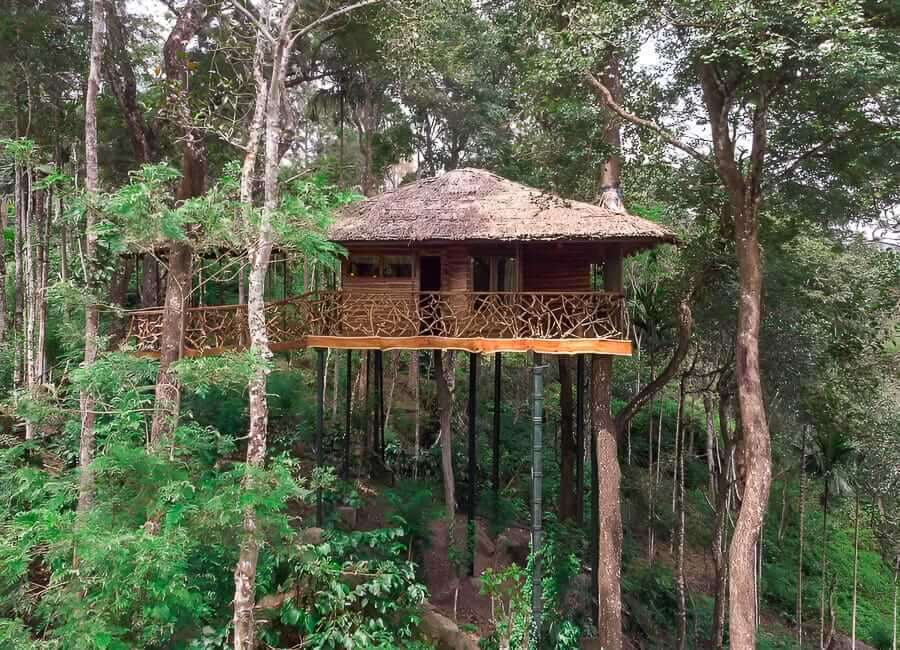 Tranquil - A Plantation Hideaway, Wayanad North Kerala India (Tree Villa Exterior) 1