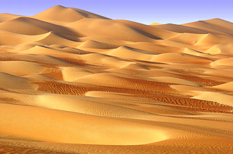 Abu Dhabi (Liwa Oasis) UAE DT 35667507