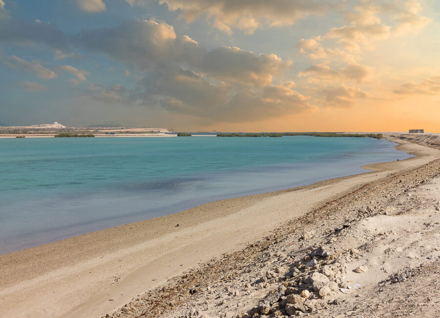 Abu Dhabi (Sir Bani Yas island) UAE DT 250950123