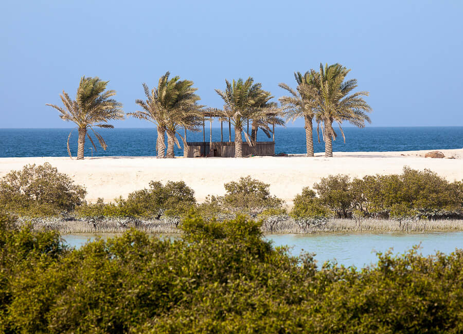Abu Dhabi (Sir Bani Yas island) UAE DT 80213829