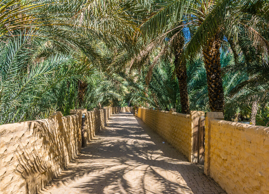 Al Ain (Al Ain Oasis) UAE DT 246990823