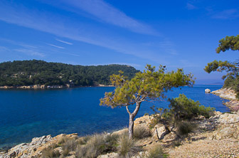 Ayvalık (Cunda Island) Turkey DT 174628808