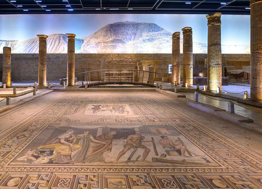 Gaziantep (Zeugma Mosaic Museum) Turkey DT 236469946