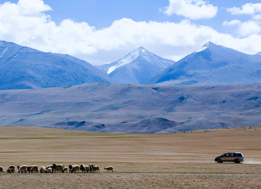 Mystique Meadows Earth Homes Hunder, Nubra Valley Ladakh India 7