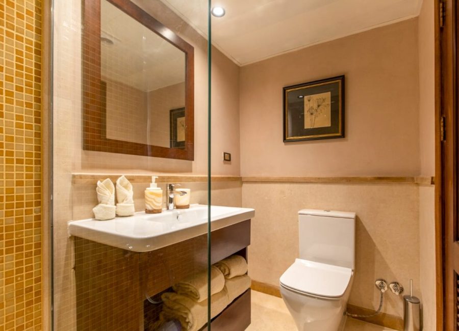 Nuut Dahabiya - Private Charters on the Nile River, Egypt (Cabin Bathroom)
