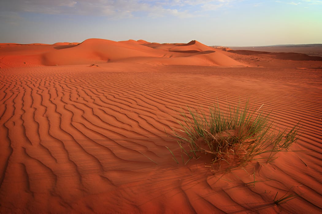 Desert Experiences - Wahiba Sands Oman DT 11228827