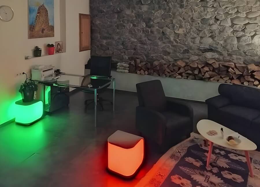 Bapsha Guesthouse Mestia Georgia (Lounge)