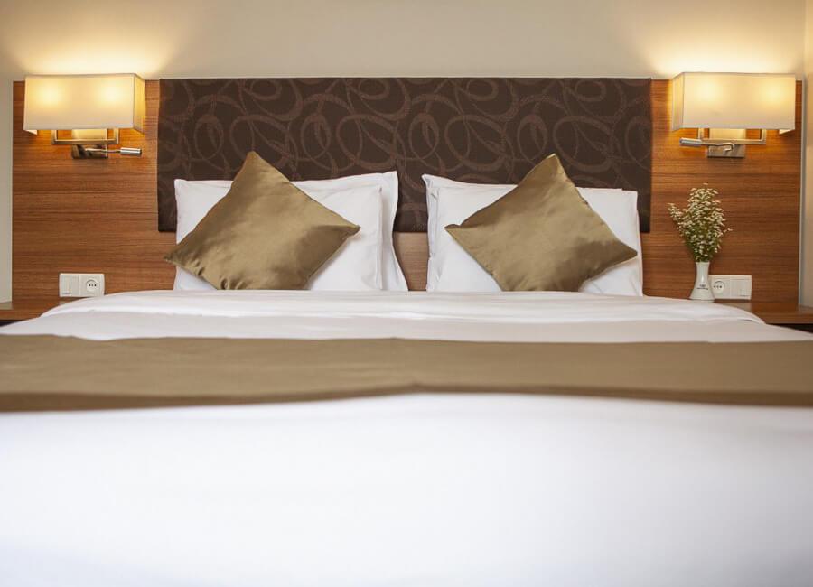 Tskaltubo Plaza Hotel Tskaltubo Georgia (Bedroom)