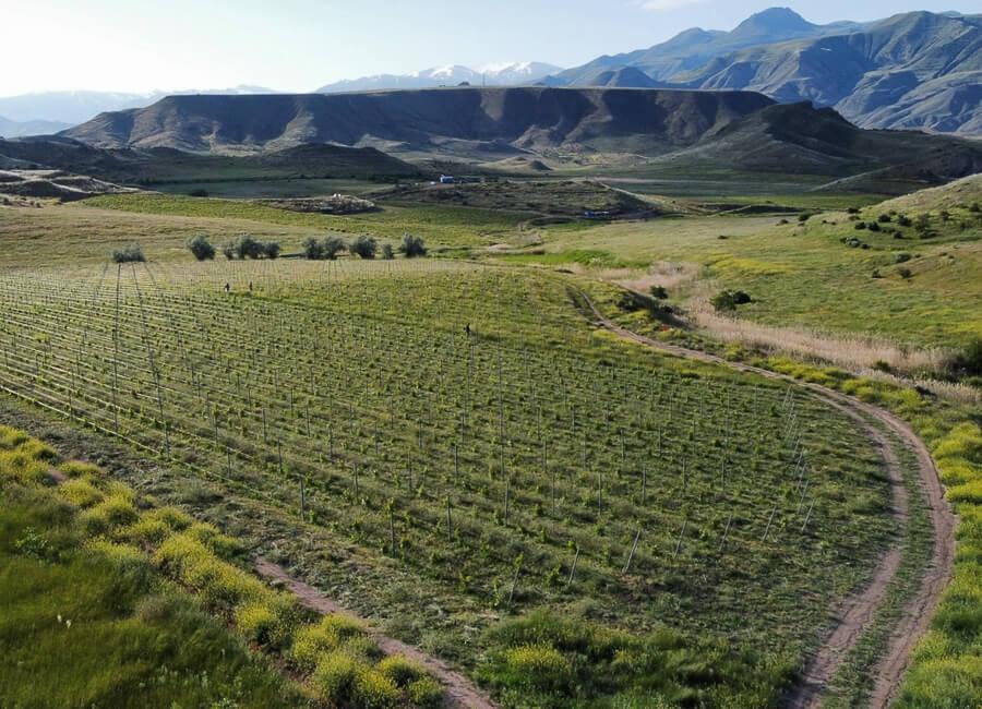 Lele Hotel Vayots Dzor Yeghegnadzor Armenia (view)
