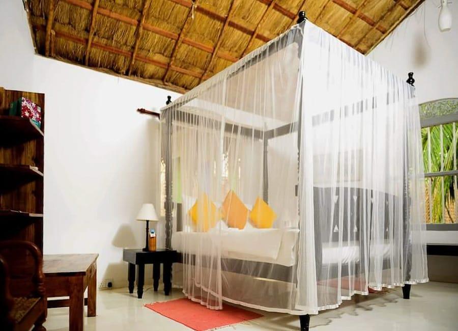 Palagama Beach Kapitiya Sri Lanka (Garden Cabana)
