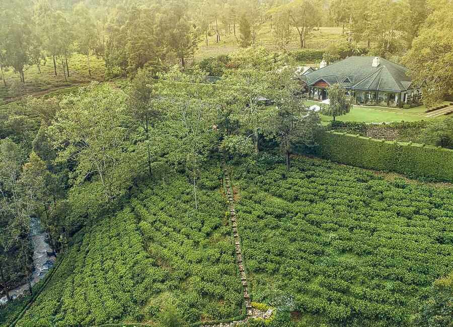 Stafford Bungalow Hill Country (near Nuwara Eliya) Sri Lanka 4