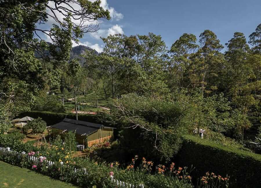 Stafford Bungalow Hill Country (near Nuwara Eliya) Sri Lanka (Gardens)