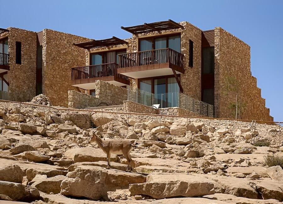 Beresheet Resort Negev Desert Israel (Beresheet Balcony Room)
