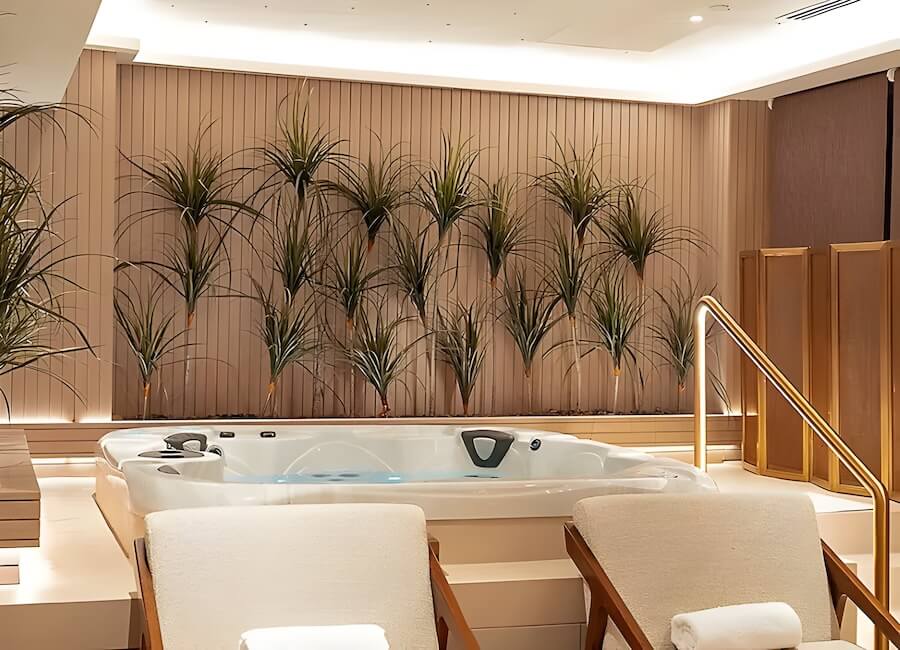 Sofitel Cairo Downtown Nile Cairo Egypt (Spa)