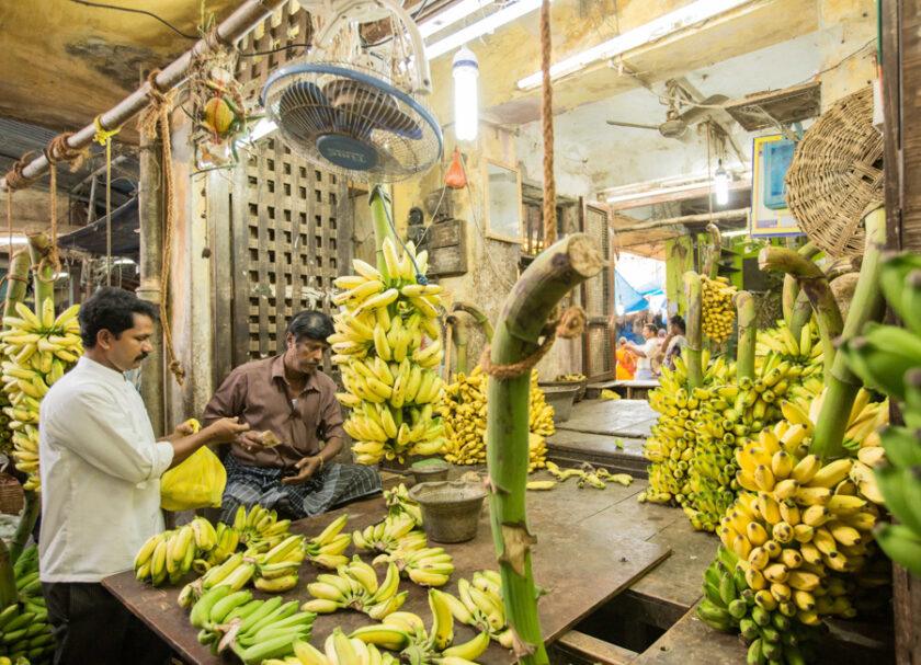 Pondicherry India (Maison Perumal © CGH Earth)