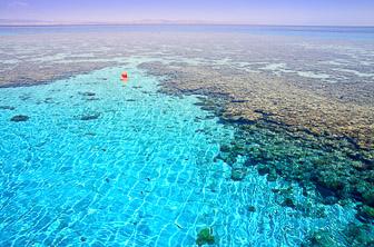 Aqaba (Red Sea. coral reef) Jordan DT 10402377
