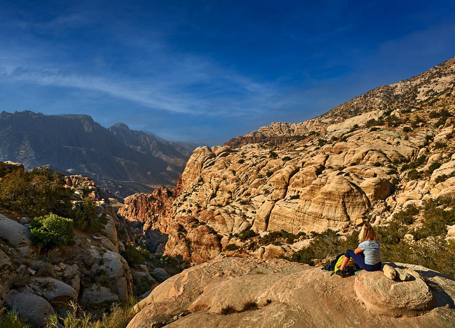 Dana (Dana National Park) Jordan DT 270275814