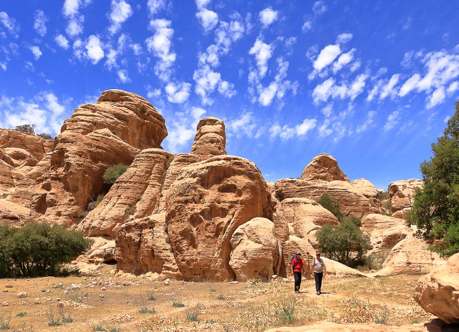 Dana (Dana National Park. mountain goat) Jordan DT 334862213