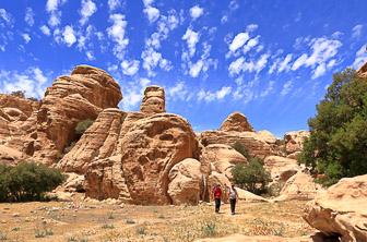 Dana (Dana National Park. mountain goat) Jordan DT 334862213