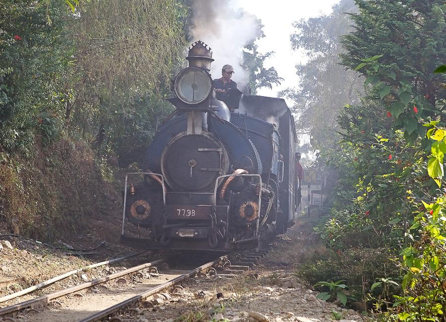 Darjeeling (Himalayan Railway. Toy Train) India DT 63038349