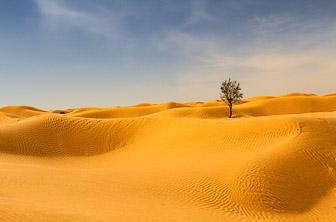 Douz (Grand Erg Oriental. Sahara Desert) Tunisia DT 389754955