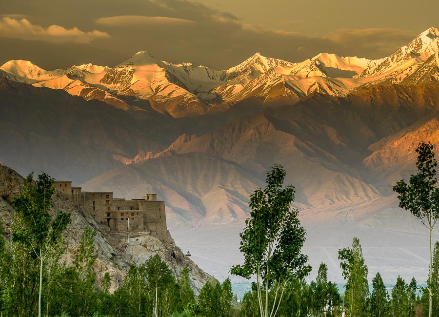 Ladakh (Stok Palace) India DT 79341274