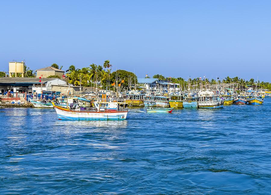 Negombo (Port. Traditional fishing boat) Sri Lanka DT 195932128