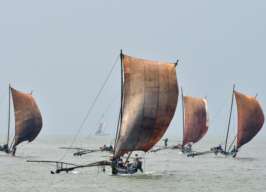 Negombo (Traditional fishing boat) Sri Lanka DT 40229846