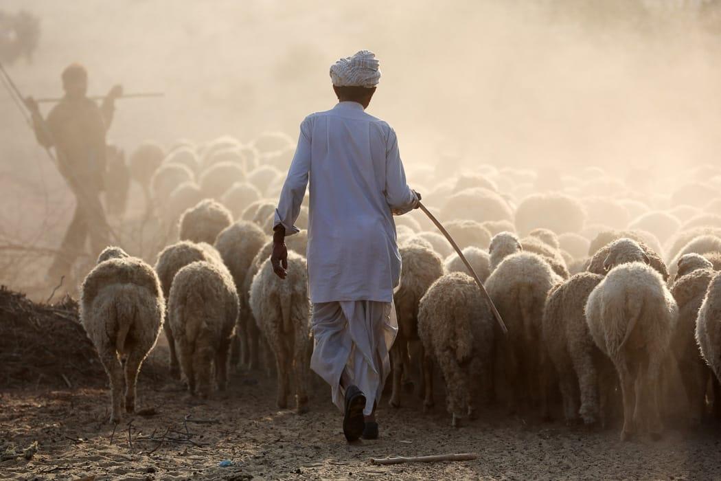 Off the Beaten Track in Rajasthan (Thar Desert) India DT 67478256