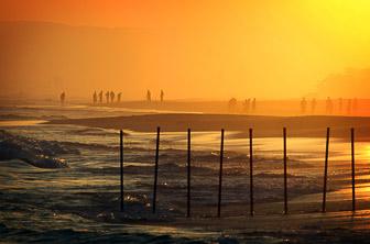 Salalah (Salalah Beach) Oman DT 12154238