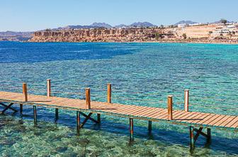 Sharm el Sheikh Red Sea Egypt DT 280063359