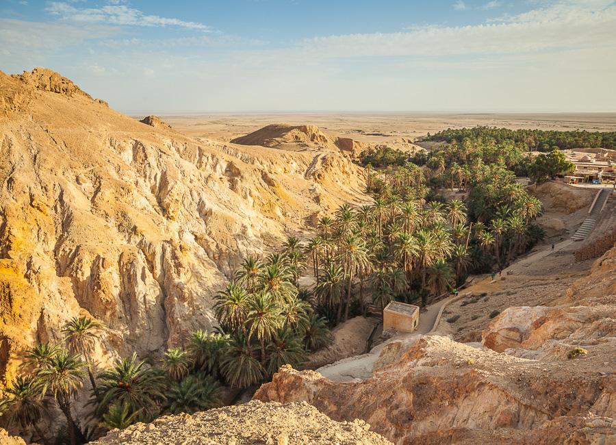 Tozeur (Chebika Oasis) Tunisia DT 109933796