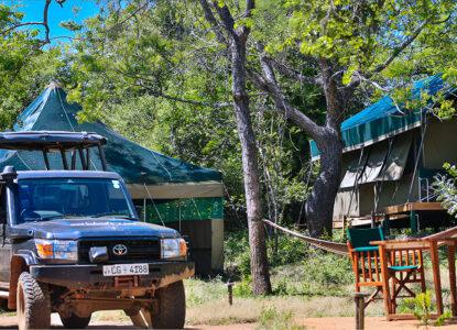 Kulu Safaris Yala National Park Sri Lanka | The Ultimate Luxury Sri Lanka Itinerary