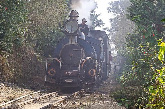 Darjeeling Express India by Rail - private holiday India DT 63038349