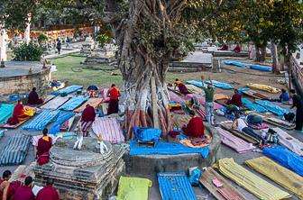 Mahabodhi Temple Bodhgaya India (28)-3 (© Bennetts)