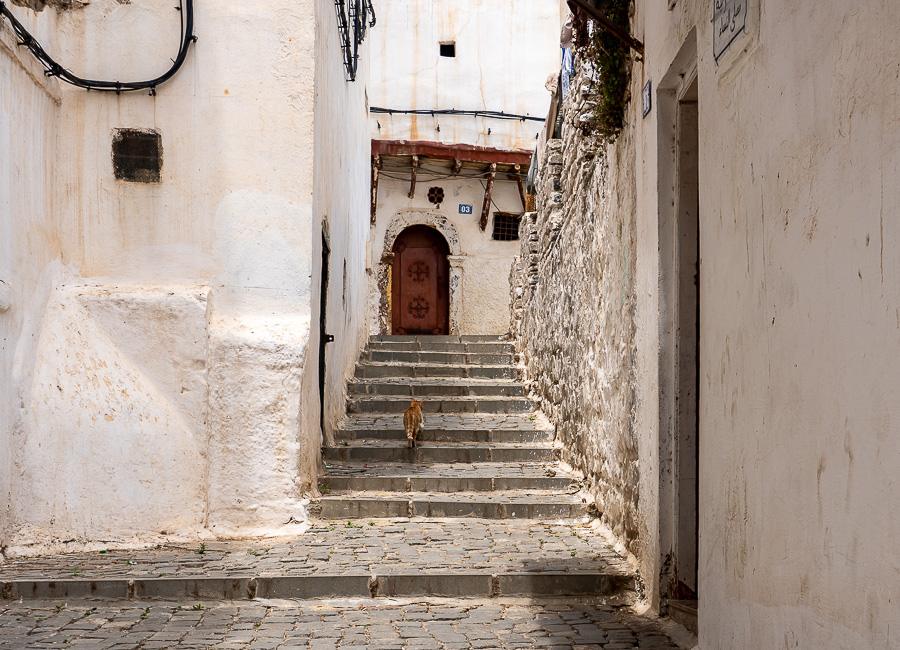 Algiers (Casbah of Algiers) Algeria JUN26 © Mark & Kirsty Bennetts 38