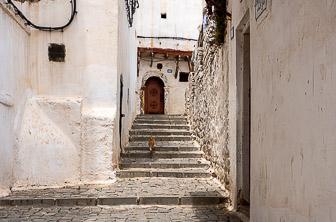 Algiers (Casbah of Algiers) Algeria JUN26 © Mark & Kirsty Bennetts 38