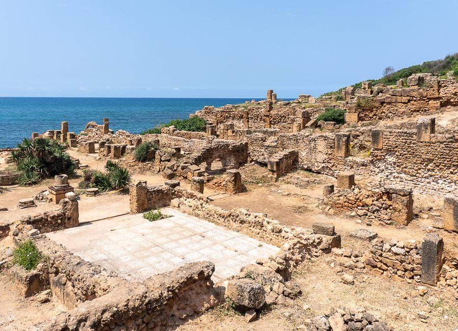 Tipaza (Tipasa) Algeria JUN26 © Mark & Kirsty Bennetts 10